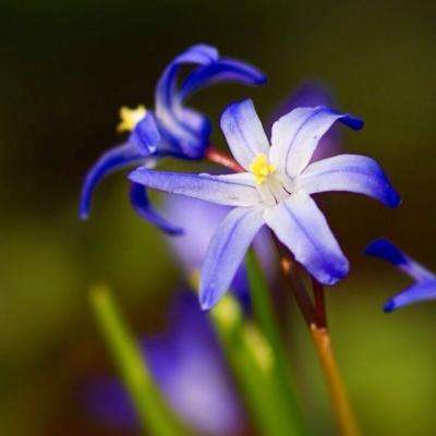 天下彩网站下载手机版