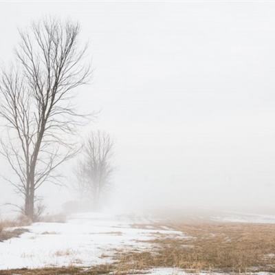 博鱼·体育中国入口下载手机版